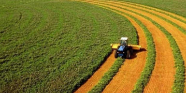 Шахрай незаконного заволодів землями фермерських господарств у Дніпрі та районі