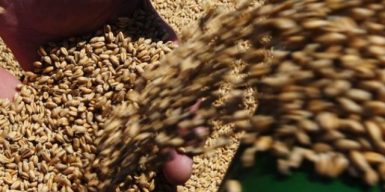 Президент рф путін збрехав щодо географії експорту зерна з України – речник МЗС